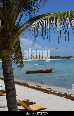 Palm Tree e barca sulla spiaggia di Tulum. Foto Stock