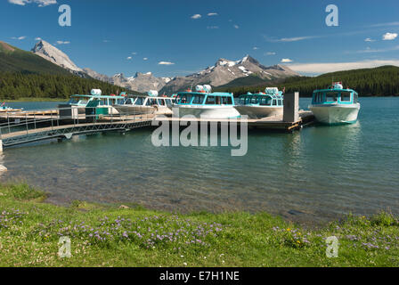 Elk203-7082 Canada, Alberta, Jasper National Park, Lago Maligne Foto Stock