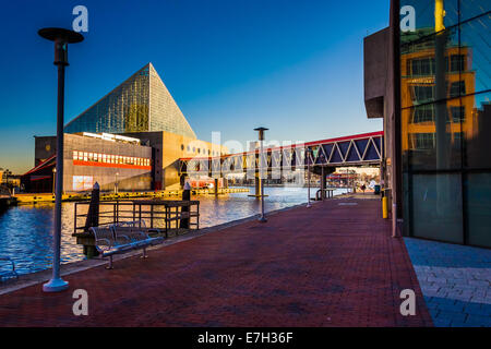 L'Acquario Nazionale presso il Porto Interno di Baltimore, Maryland. Foto Stock