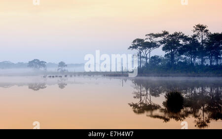 Bella foggy sunrise su un lago nella foresta pluviale, Thailandia. Foto Stock