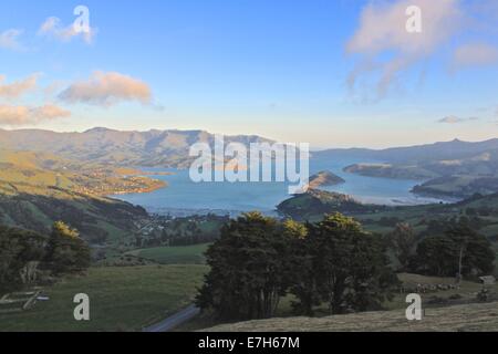 Penisola di Banks, Barrys Bay e Duvauchelle Bay, Canterbury, Nuova Zelanda Foto Stock