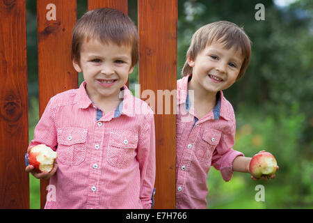 Ragazzi adorabili in camicie rosse, tenendo le mele Foto Stock