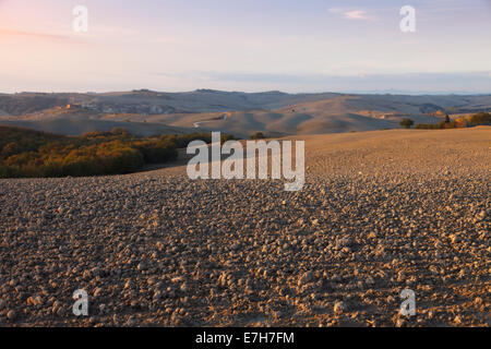 Tipico paesaggio toscano in autunno, Italia Foto Stock