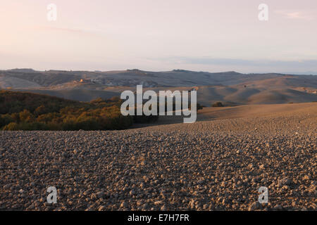 Tipico paesaggio toscano in autunno, Italia Foto Stock