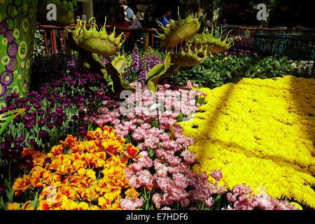 Fiori in Serra & Giardini Botanici, Bellagio, Las Vegas, Nevada, STATI UNITI D'AMERICA Foto Stock