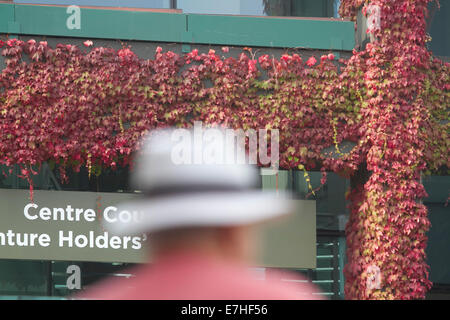 Wimbledon,UK. 18 settembre 2014. Giapponese foglie d'Edera iniziano a colore intorno al centro la corte a All England Lawn Tennis club (AELTC) a Wimbledon Credito: amer ghazzal/Alamy Live News Foto Stock