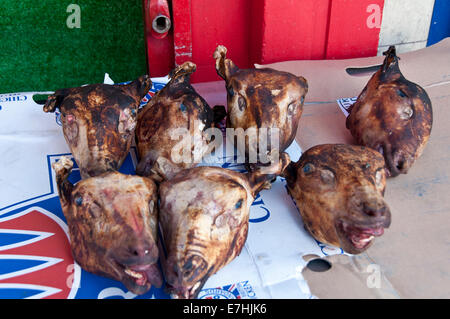 Non scuoiata pecore / teste di capra in vendita nelle macellerie in Oriente Lane Market Londra sud Foto Stock