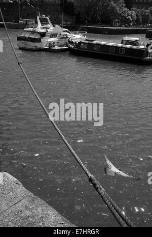 Il Bristol Harbourside, Gloucestershire Foto Stock