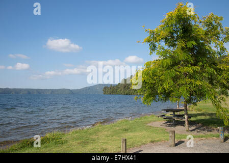 Lago Taupo Isola del nord della Nuova Zelanda Foto Stock