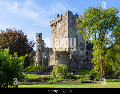 Blarney Castle, sito di Blarney Stone, vicino a Cork, nella contea di Cork, Repubblica di Irlanda Foto Stock