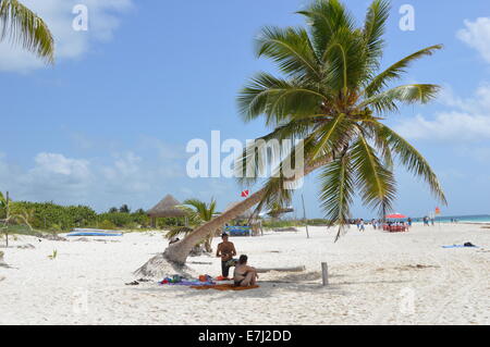 Palm Tree sulla spiaggia di Tulum , Messico Foto Stock