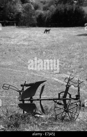 Antique cavallo aratro nel campo, Degagnac, Valle del Lot Foto Stock