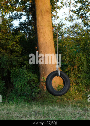 Pneumatico swing corda appeso a un albero, REGNO UNITO Foto Stock