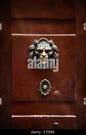 Porta di antiquariato respingente in forma di una testa di leone su una vecchia porta di legno, Roma, Italia Foto Stock