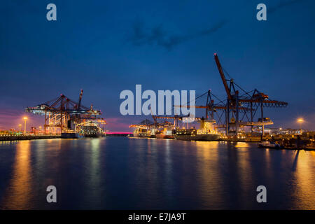 Waltershoferdamm 3 con le gru del terminal per container Burchardkai e EUROGATE Container Terminal, Amburgo, Germania Foto Stock