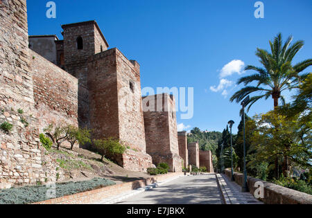 Alcazaba, fortezza moresca, Castillo de Gibralfaro castello sul monte Gibralfaro, Malaga, Andalusia, Spagna Foto Stock