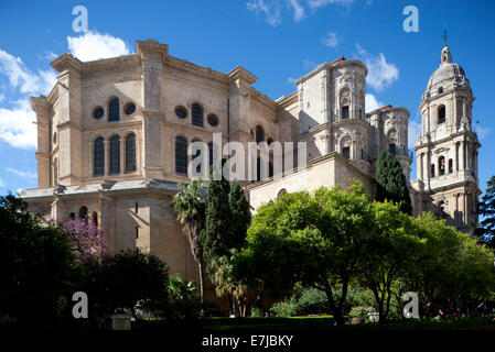 Cattedrale di Malaga, La Manquita, Malaga, Andalusia, Spagna Foto Stock