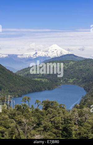 Lago Lago Tinquilco e Vulcano Villarrica, Pucón, Regione Araucanía, Cile Foto Stock