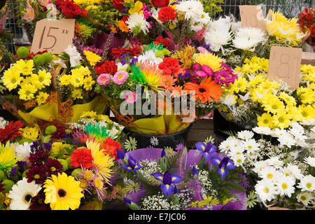 Mazzi di fiori di gerbera, crisantemi e altro assortimento di fiori freschi per la vendita in un mercato all'aperto, Byward Market, Ottawa Foto Stock