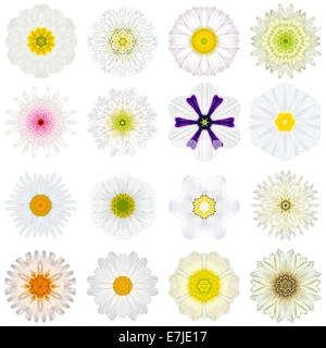 Grande raccolta di vari concentrici bianchi fiori di pattern. Mandala caleidoscopica Patterns isolati su sfondo bianco. Concent Foto Stock