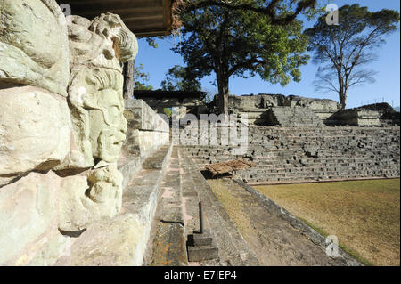 America Centrale, America, antico, archeologia, architettura, edificio costruito, scolpite, copan, cultura, patio esterno, dèi, g Foto Stock