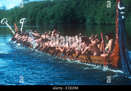 Fiume Ngaruawahia, regata, Maori, Ngaruawahia, Nuova Zelanda. Foto Stock