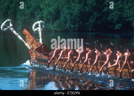 Fiume Ngaruawahia, regata, Maori, Ngaruawahia, Nuova Zelanda. Foto Stock