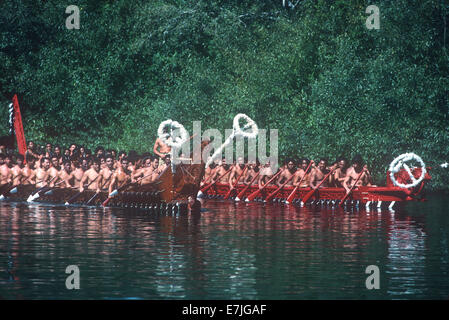 Fiume Ngaruawahia, regata, Maori, Ngaruawahia, Nuova Zelanda. Foto Stock