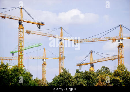 Diverse gru edili sono visibili al di sopra di una linea di albero Foto Stock