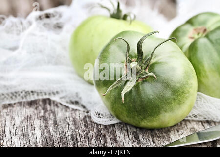 Appena raccolto i pomodori verdi con estrema profondità di campo. Foto Stock