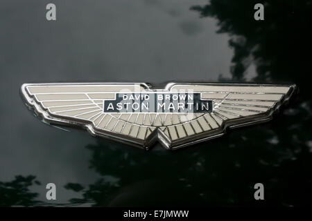 Aston Martin David Brown Badge su un DB4 a Silverstone Foto Stock