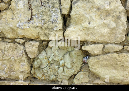 Muro fatto di pietre Foto Stock