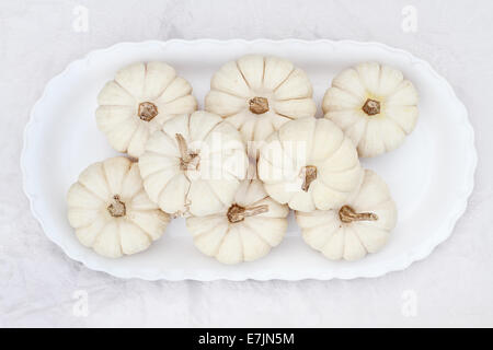 Bella tabella decorazioni di zucche di bianco. Foto Stock