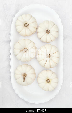Bella tabella decorazioni di zucche di bianco. Foto Stock