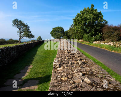 Il Vallo di Adriano National Trail: guardando lungo la parete verso banche torretta Est, Cumbria Foto Stock