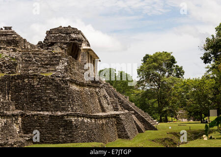 El Palacio, Palenque rovine, Palenque, Chiapas, Messico Foto Stock