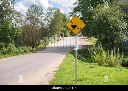 Avvertenza cartello stradale Foto Stock