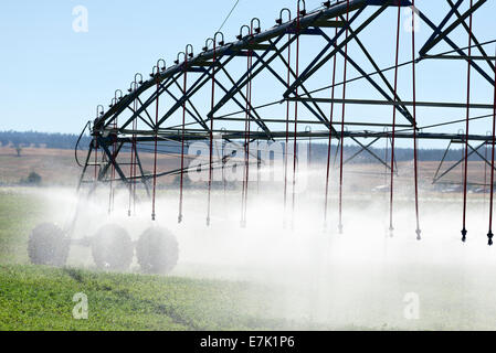 La spruzzatura di acqua da una meccanica del sistema di irrigazione in una fattoria nel nord-ovest della Oregon. Foto Stock