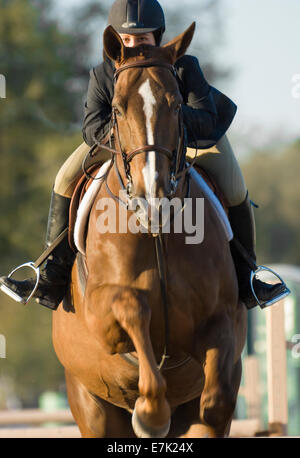 Ragazza adolescente di equitazione prendendo un ostacolo a show jumping concorrenza. Foto Stock