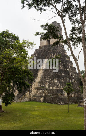 Tempio 1 (Jaguar tempio) Grande Plaza, il Parco Nazionale di Tikal, El Petén, Guatemala Foto Stock