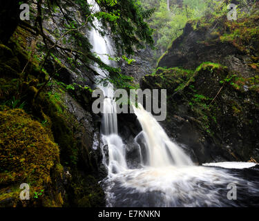 La pressione atmosferica, gocciolante e umido di base Plodda Falls, Glen Affric, Highlands scozzesi, REGNO UNITO Foto Stock