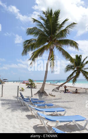 Palm Tree e sdraio sulla spiaggia di Tulum Foto Stock