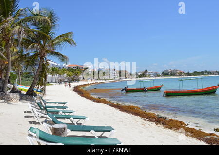 Palm Tree e barca sulla spiaggia Ackumal. Foto Stock