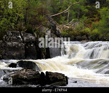 Il corso a cascata di Garbh Uisge, Glen Affrich, Highlands scozzesi, REGNO UNITO Foto Stock