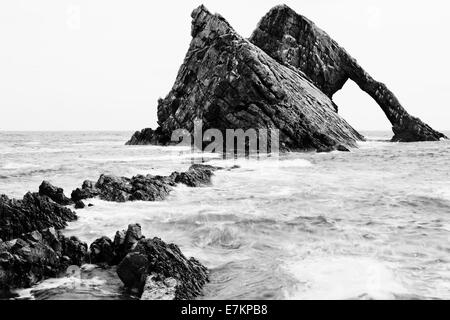 Cullen quarzite roccia metamorfica formata in 'punta di un violino di prua dall' azione di onda, Portknockie, murene, Scotland, Regno Unito Foto Stock