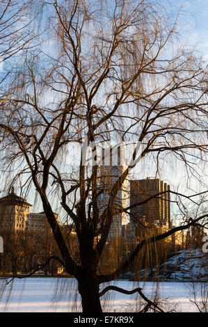 Noi, la città di New York, Central Park. Harlem Meer. Foto Stock