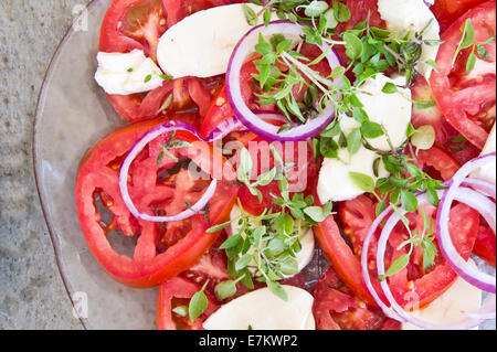 Insalata fresca contenente i pomodori e basilico greco, formaggio e cipolle rosse Foto Stock