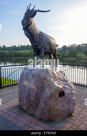 Statua di re Puck dal fiume Laune in Killorglin, nella contea di Kerry, Irlanda - Killorglin è famosa per l'annuale Fiera Puck Foto Stock