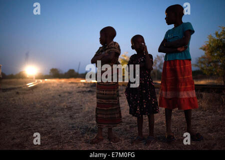 Ferrovia. Zambia. Tramonto nella Royal Livingstone Express treno di lusso. La locomotiva a vapore, 156 è un decimo di classe originariamente belo Foto Stock