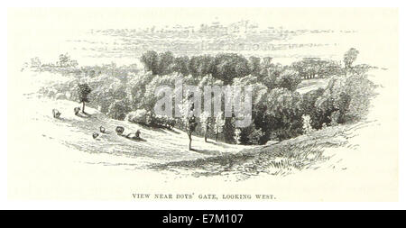 Un'illustrazione del 1869 di Central Park, New York City, che mostra una vista vicino al Boys' Gate che guarda a ovest. L'immagine mette in evidenza il design e le caratteristiche paesaggistiche del parco durante la fine del XIX secolo. Foto Stock